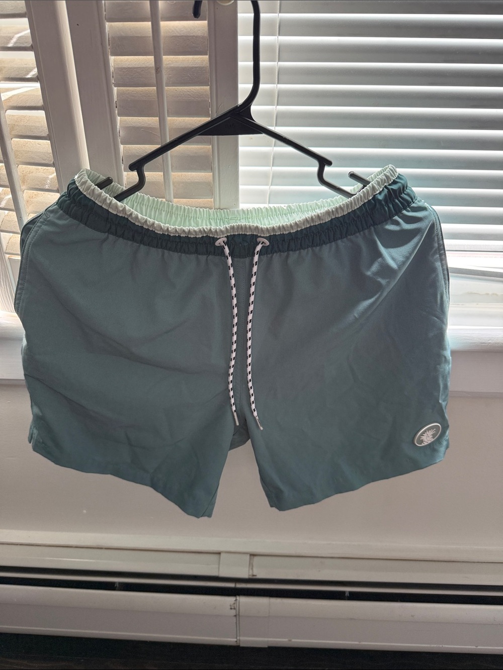 chubbies light teal swim trunks with aqua label